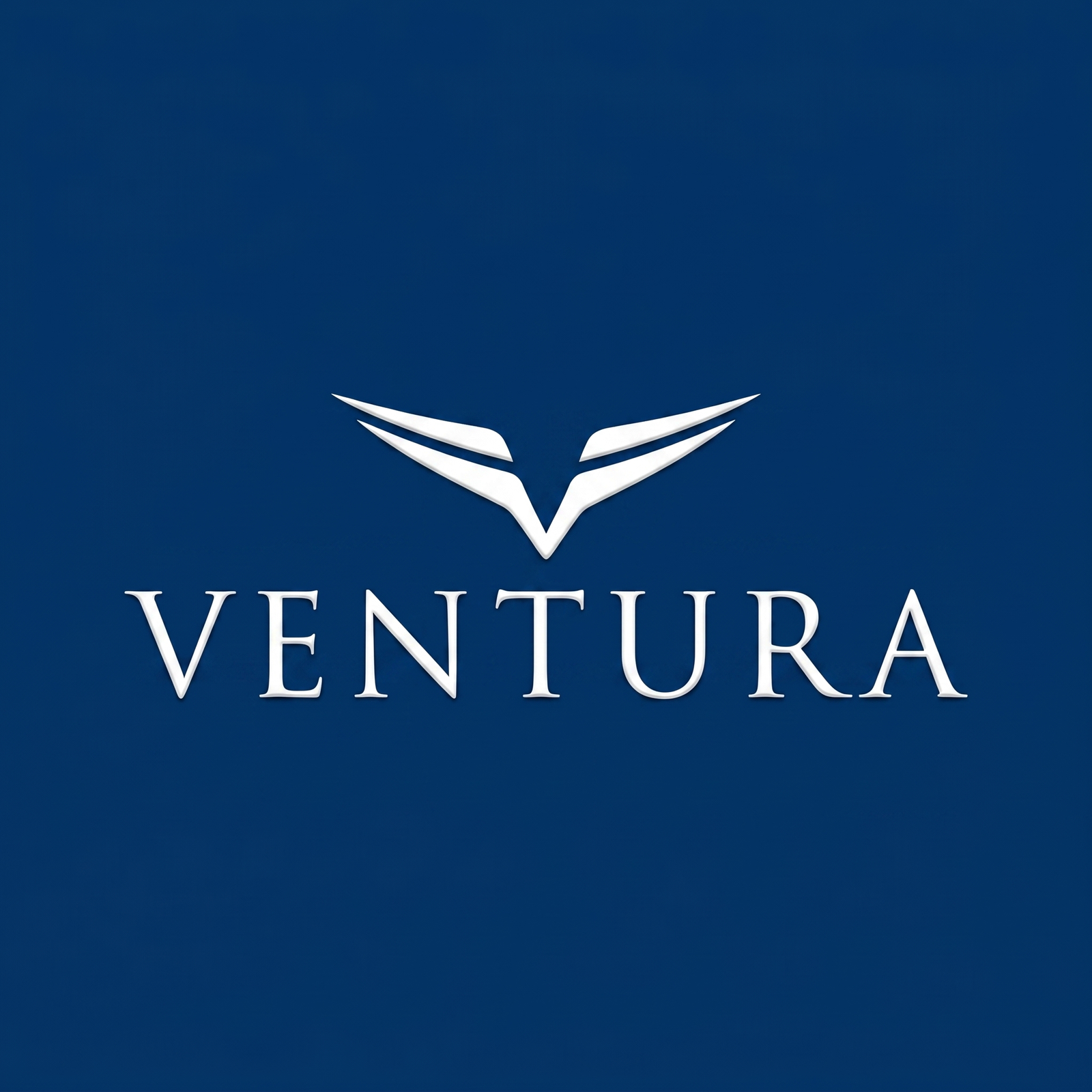 Ventura Air Services