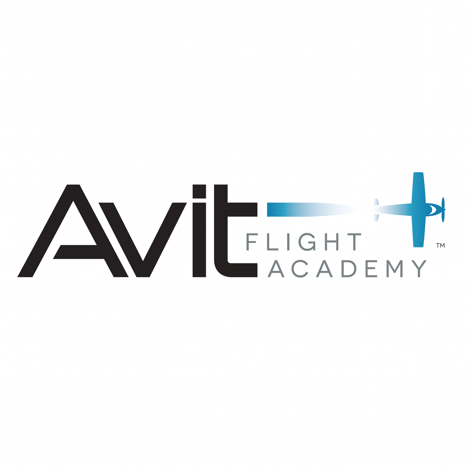 Avit Flight Academy