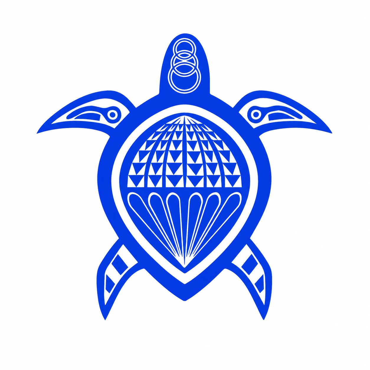 Maui Skydiving